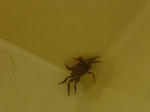 DSC04087.JPG