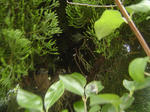 DSC04156.JPG