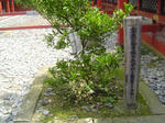 DSC04098.JPG