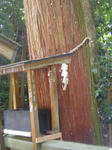 DSC04106.JPG