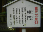 DSC04117.JPG