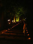 DSC04183.JPG