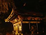 DSC04181.JPG