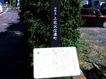 K3100100.JPG