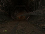 AVP_A.JPG