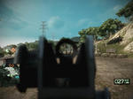 M16A2_iron.JPG