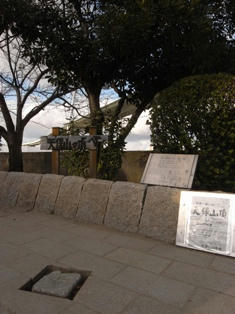 R0014342.JPG