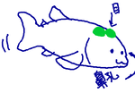 fimg_1248779499.png