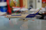 il96plkv.jpg