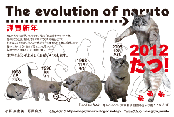 2012年賀状
