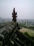 鯱