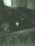 深夜のこねこ