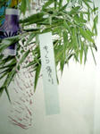 七夕2