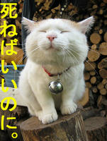 BBE0A4CDA4D0A4A4A4A4A4CEA4CB.jpg