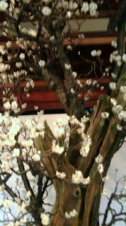 20100214135850.jpg
