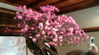 20100214135910.jpg