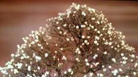 20100214140018.jpg