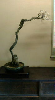 20100214140048.jpg