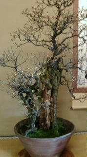 20100214140112.jpg