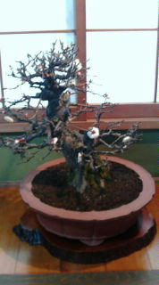 20100214140210.jpg