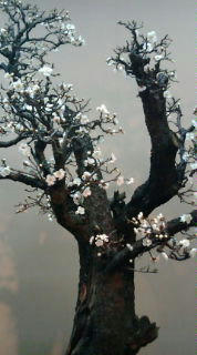 20100214140447.jpg