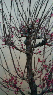20100214140457.jpg