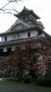 20100403111752.jpg