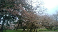 20100403112203.jpg
