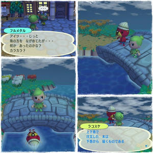 初ラッコ