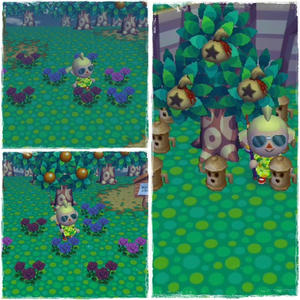 咲いたり、なったり