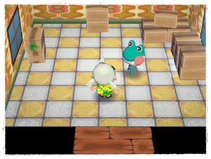 レイニーちゃんの引越し