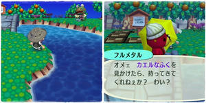 あなたカエルでしょ