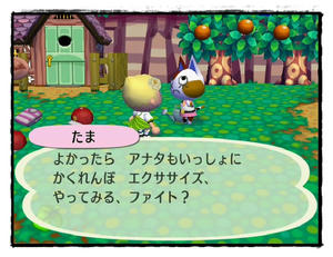 エクササイズ式