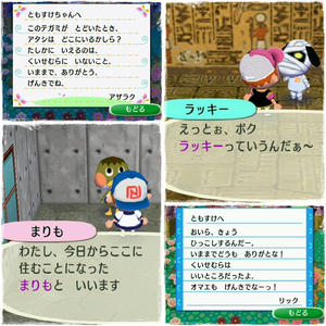 まりもちゃんとラッキー