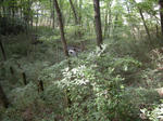 f3d5f297.jpg