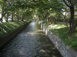 d17b3843.jpg
