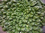 e5e66213.jpg