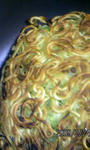 090224_180452.JPG