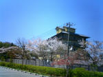 0409arima.JPG