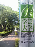 学芸ろーど.jpg