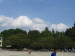 夏.jpg