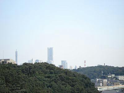 view.jpg