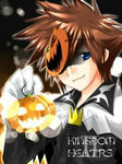 KH2 ソラ