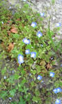 090319_094402.JPG