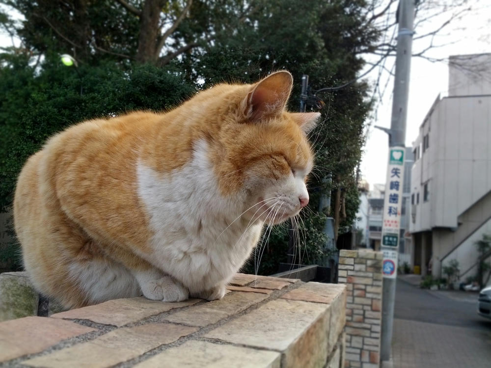 そして君に会えた