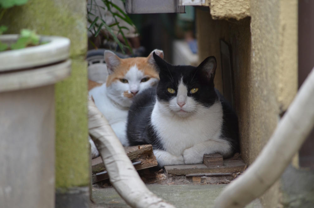 2人の場所