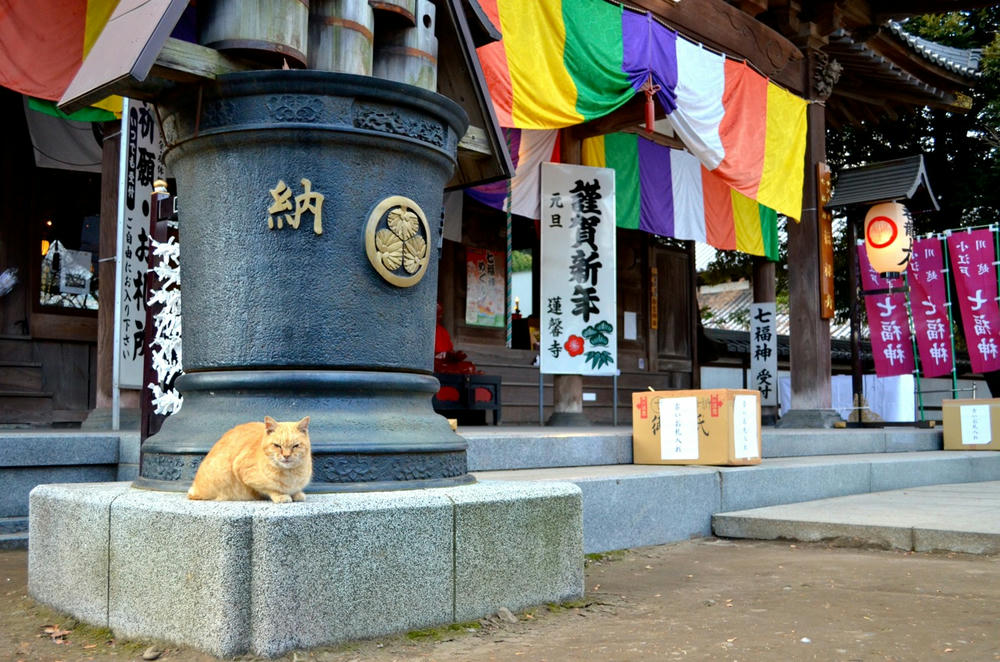 川越、蓮馨寺にて