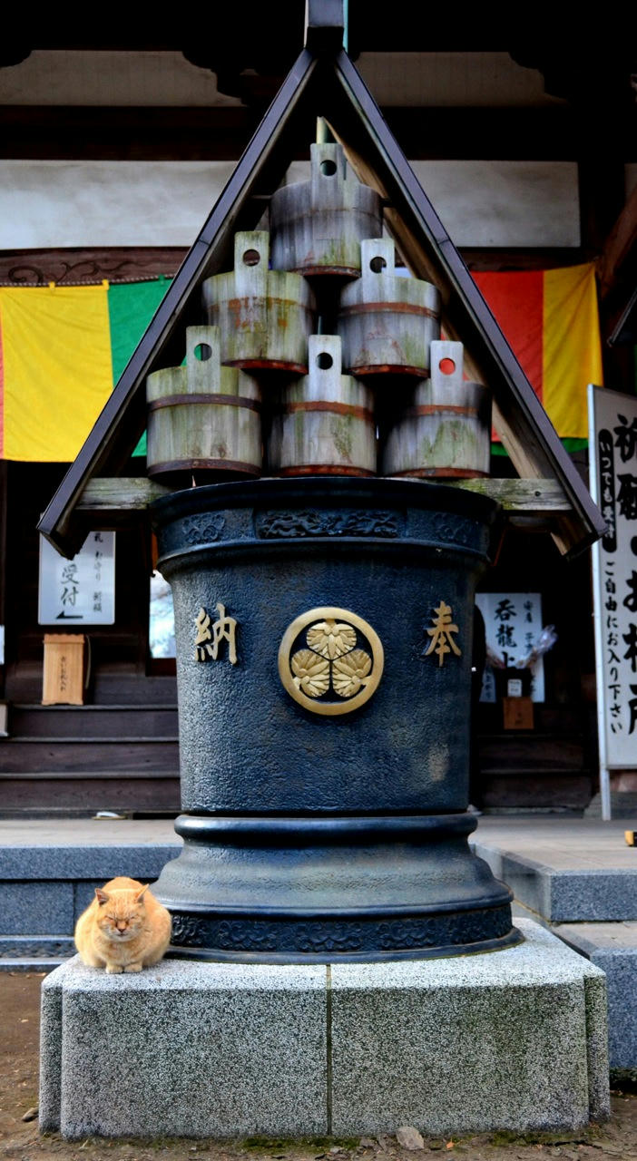 川越、蓮馨寺にて