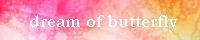 dream of butterfly 