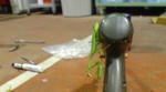 DSC00405.JPG